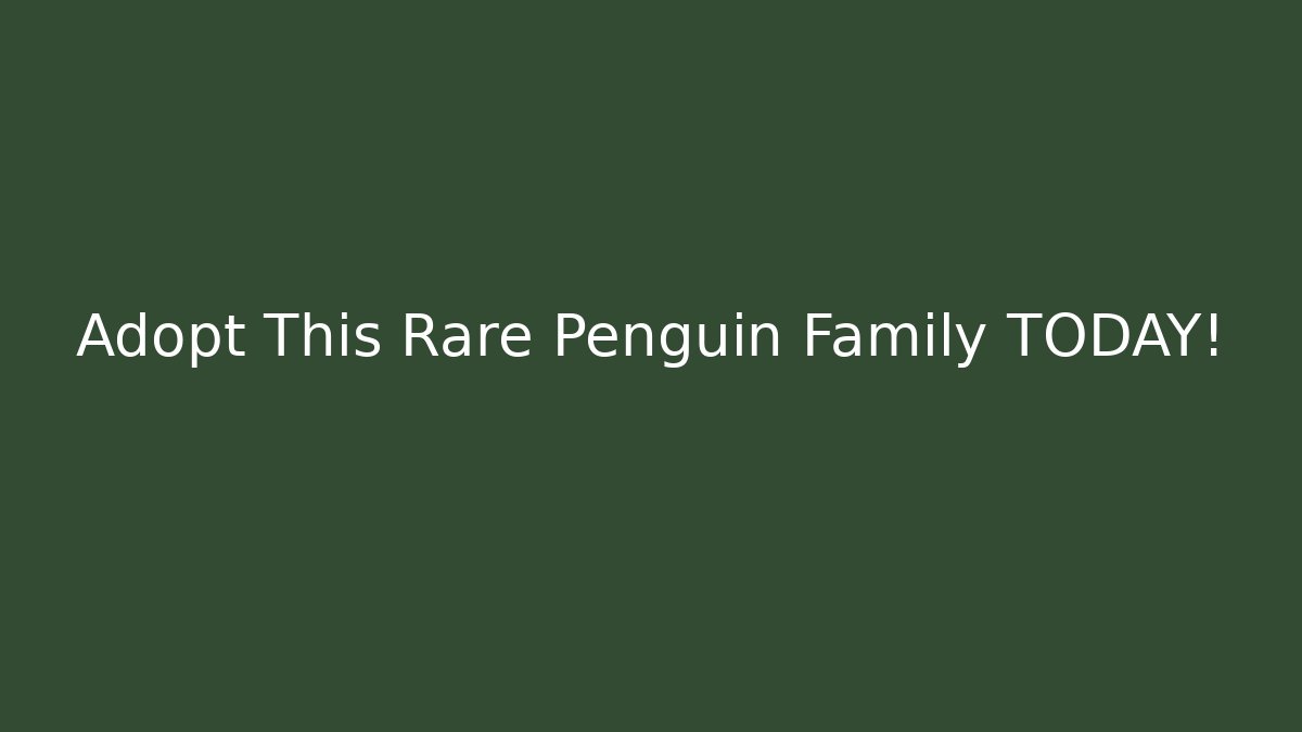 Adopt This Rare Penguin Family TODAY!
