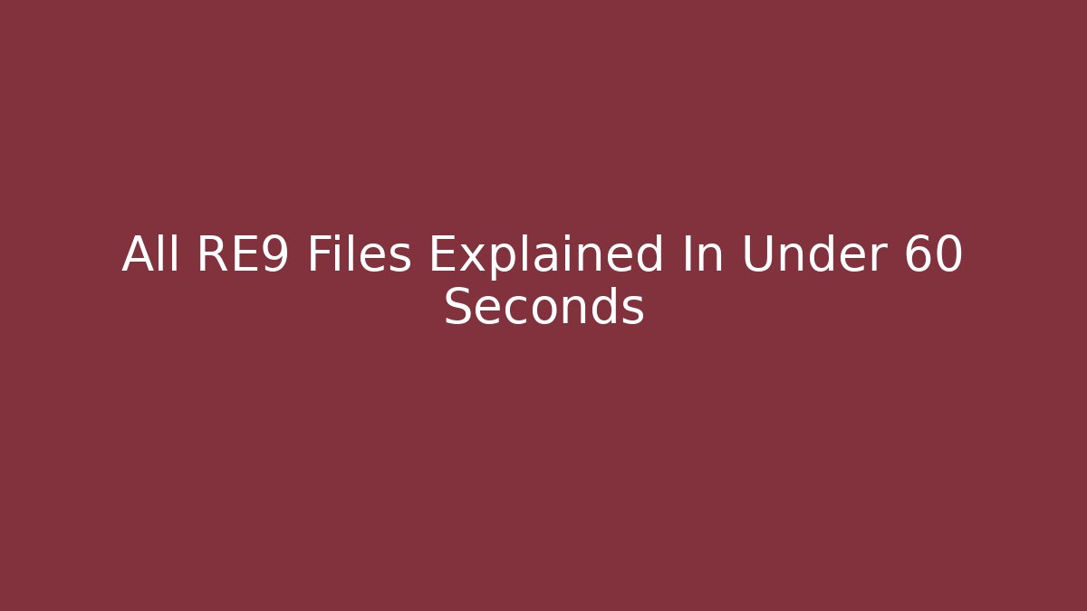 All RE9 Files Explained In Under 60 Seconds