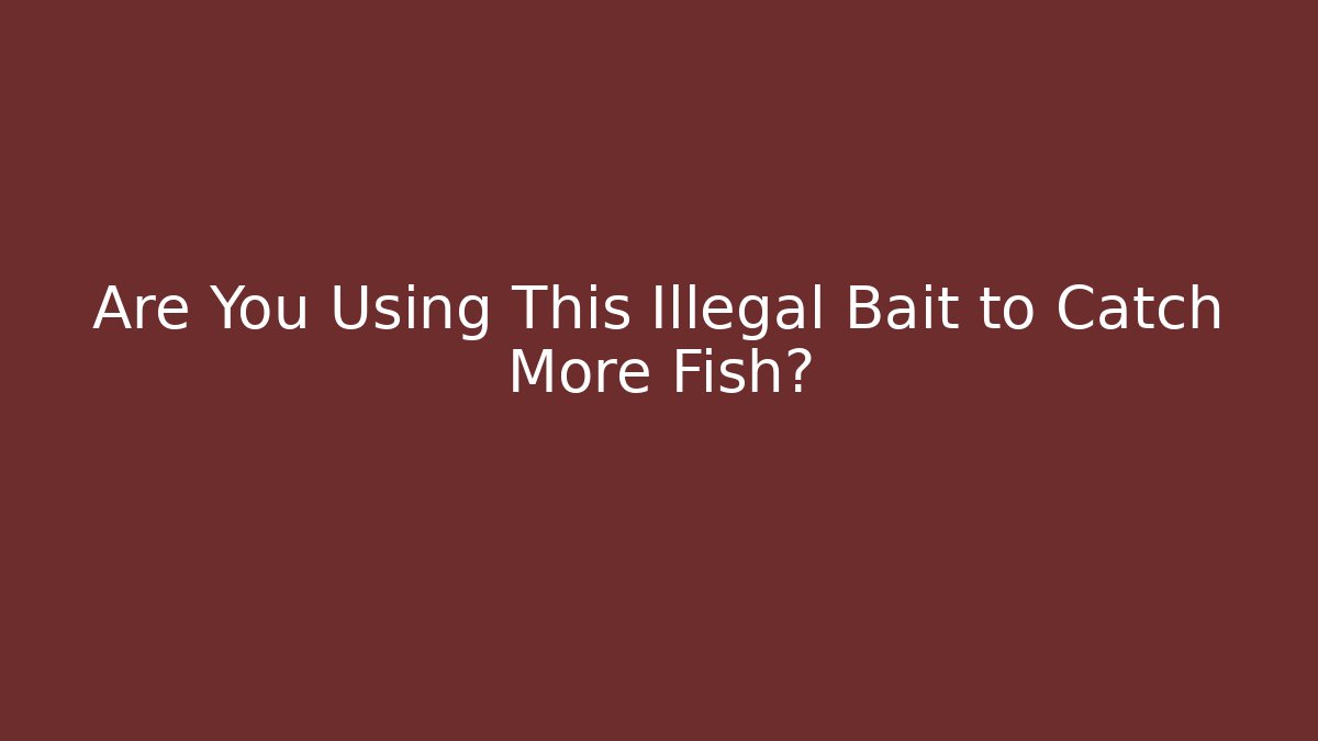 Are You Using This Illegal Bait to Catch More Fish?