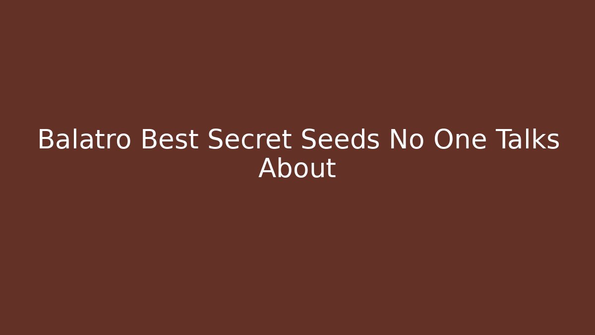 Balatro Best Secret Seeds No One Talks About
