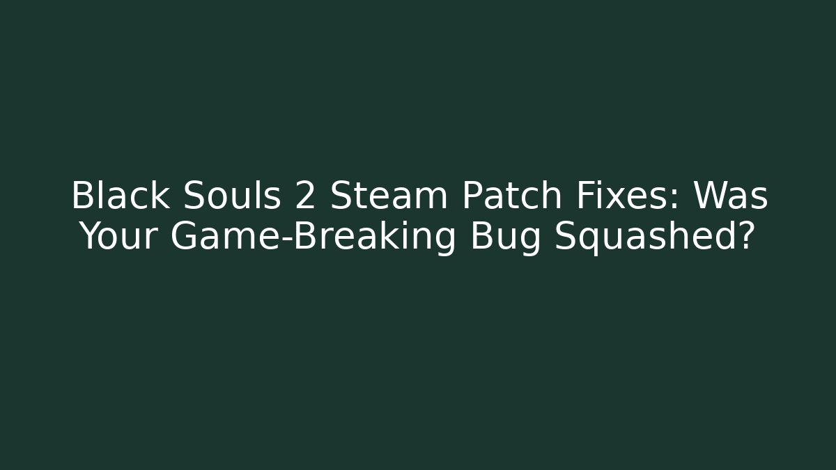 Black Souls 2 Steam Patch Fixes: Was Your Game-Breaking Bug Squashed?