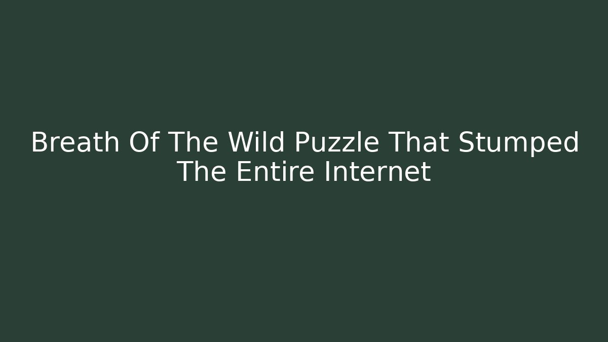 Breath Of The Wild Puzzle That Stumped The Entire Internet
