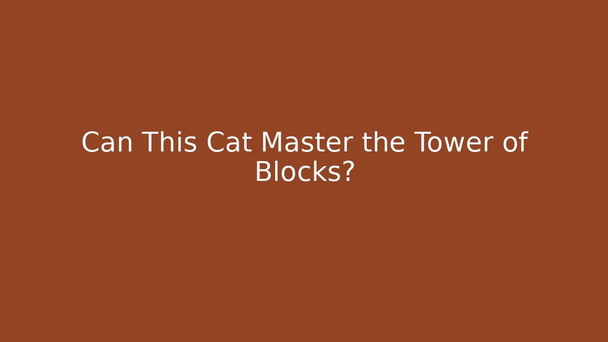 Can This Cat Master the Tower of Blocks?