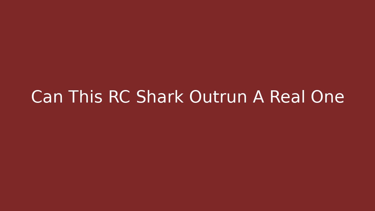 Can This RC Shark Outrun A Real One