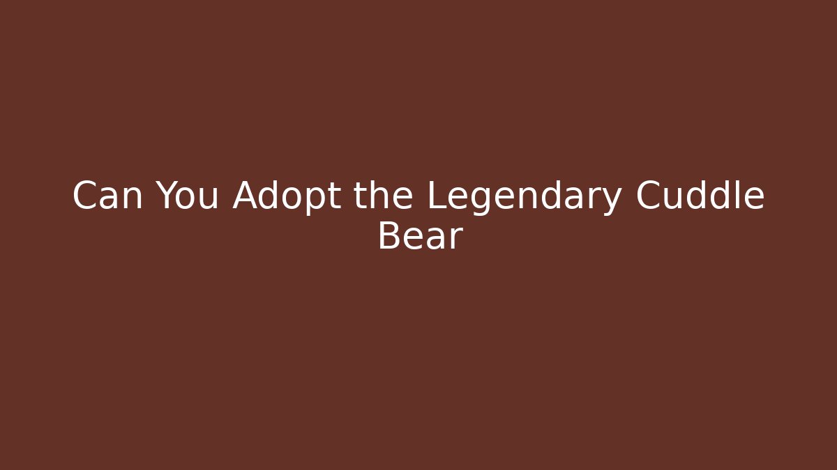 Can You Adopt the Legendary Cuddle Bear