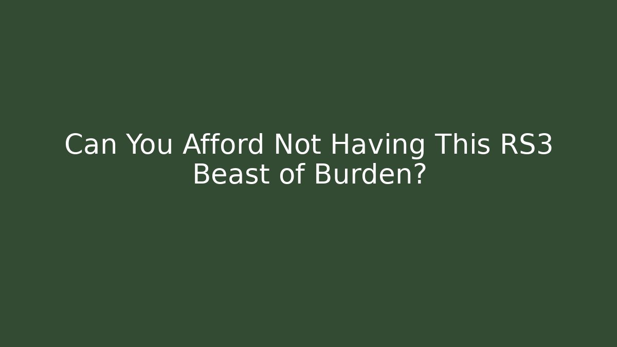 Can You Afford Not Having This RS3 Beast of Burden?
