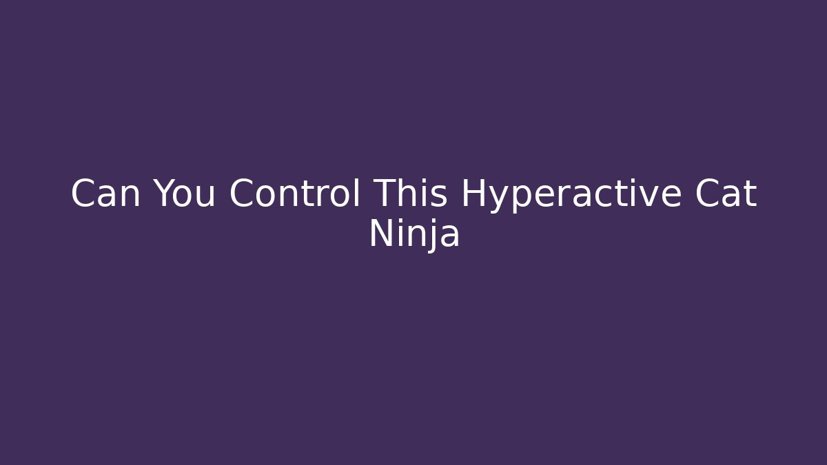 Can You Control This Hyperactive Cat Ninja