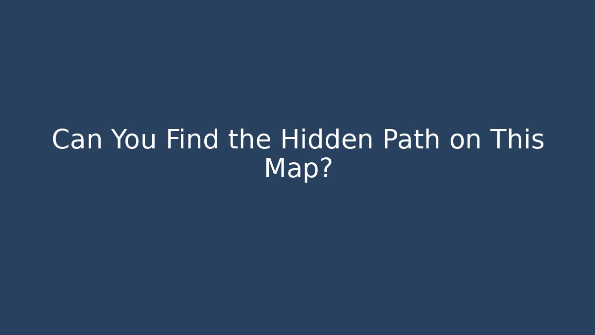 Can You Find the Hidden Path on This Map?