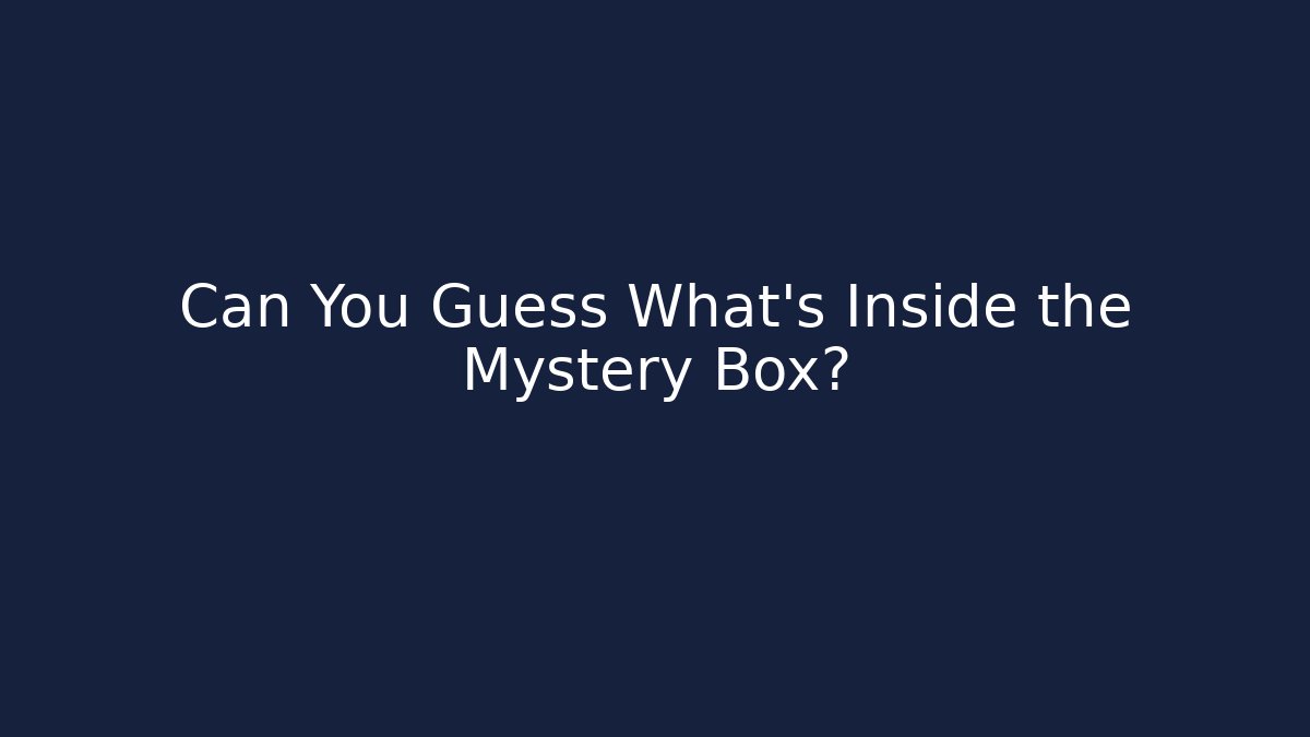 Can You Guess What's Inside the Mystery Box?