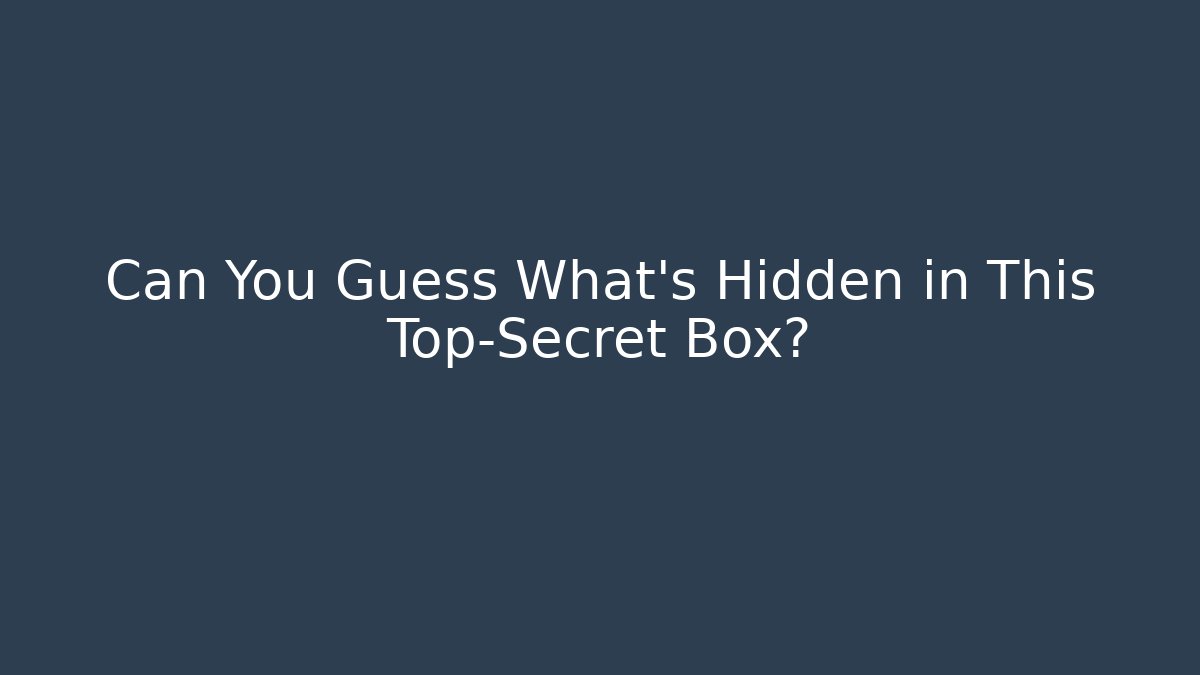 Can You Guess What’s Hidden in This Top-Secret Box?