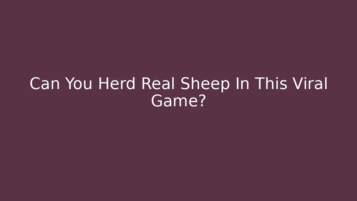 Can You Herd Real Sheep In This Viral Game?