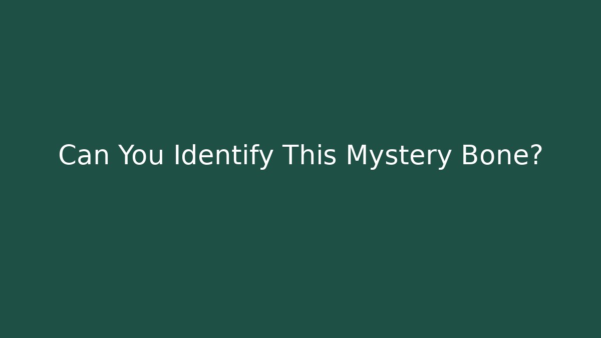 Can You Identify This Mystery Bone?
