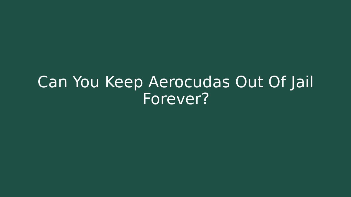 Can You Keep Aerocudas Out Of Jail Forever?