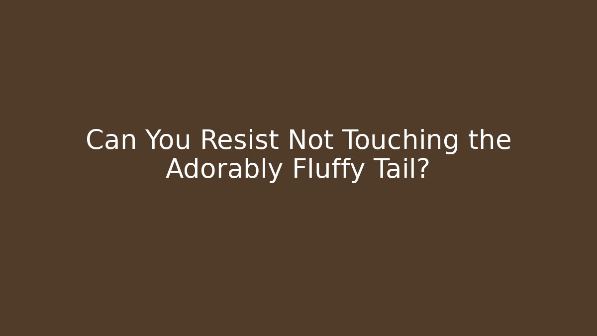 Can You Resist Not Touching the Adorably Fluffy Tail?