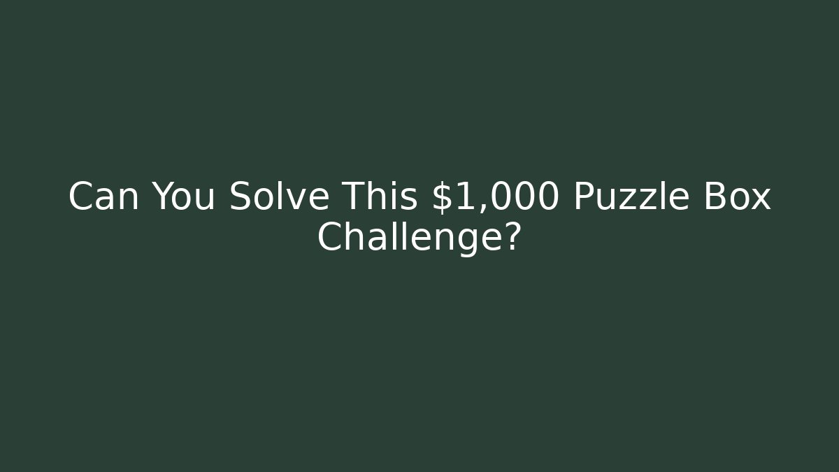 Can You Solve This $1,000 Puzzle Box Challenge?