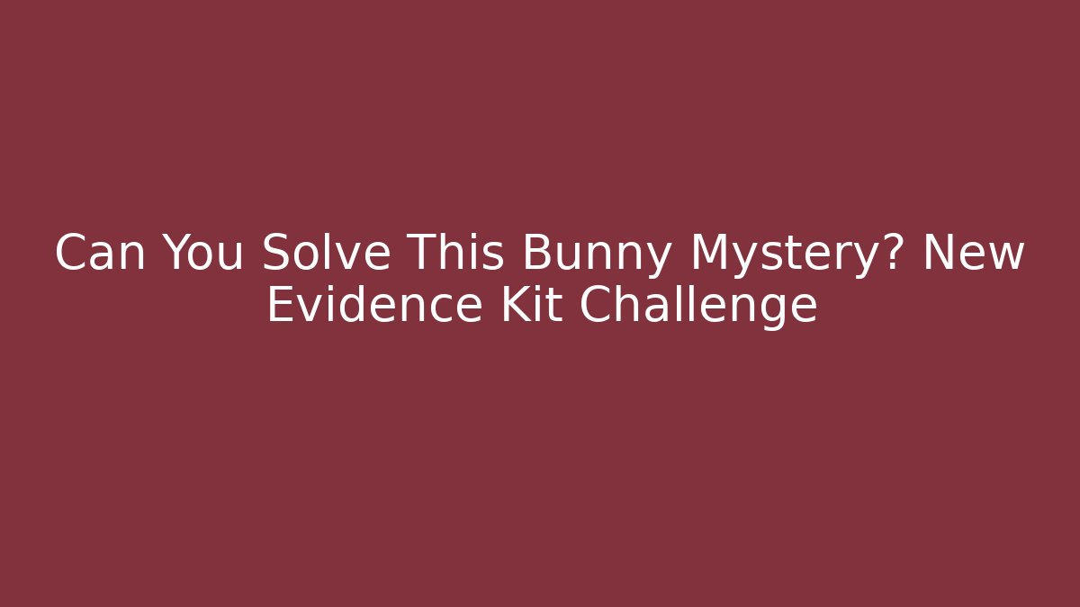 Can You Solve This Bunny Mystery? New Evidence Kit Challenge
