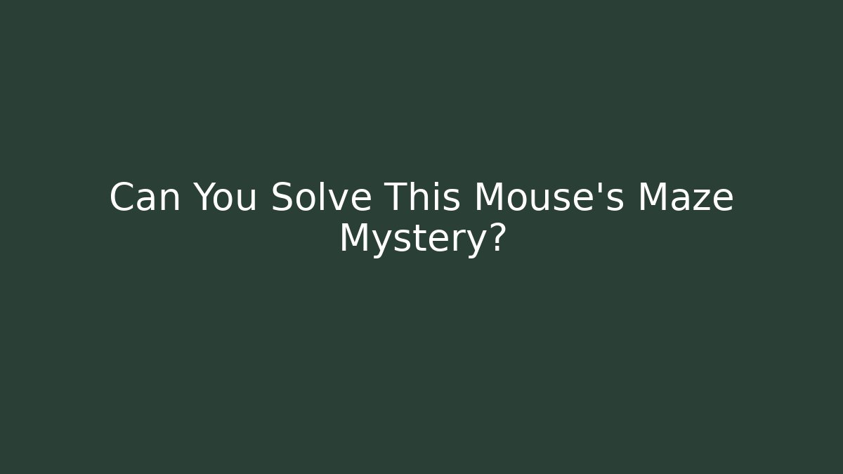 Can You Solve This Mouse's Maze Mystery?