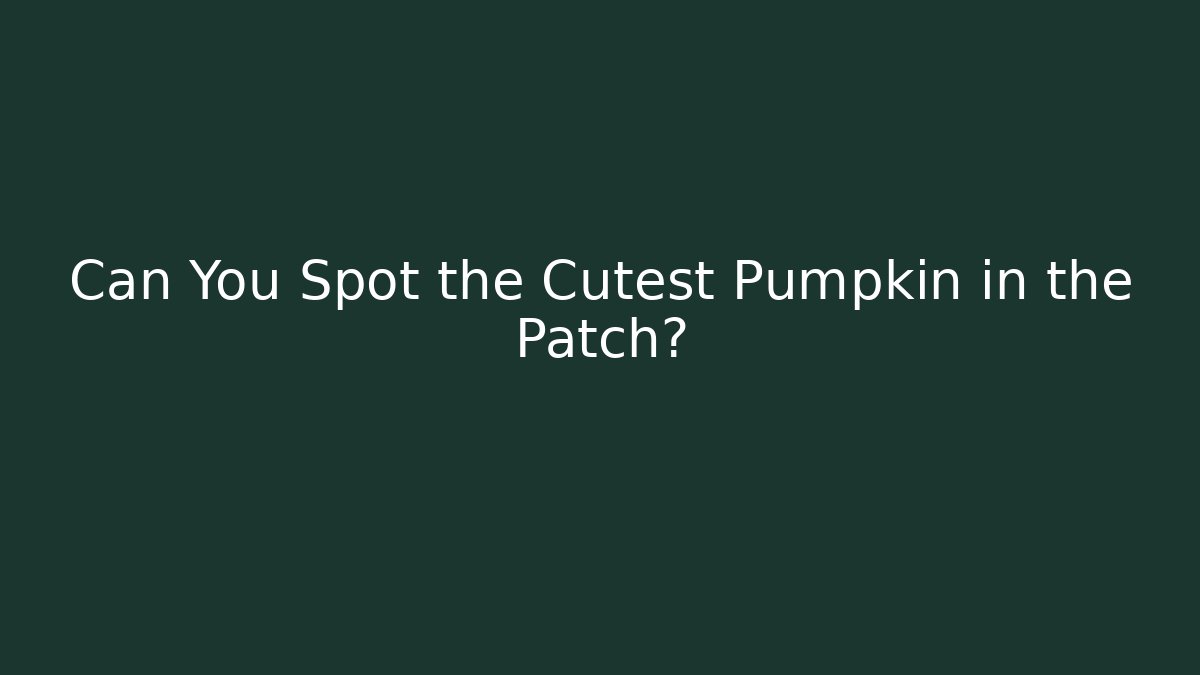 Can You Spot the Cutest Pumpkin in the Patch?