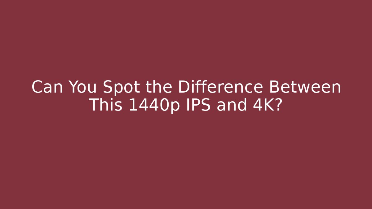 Can You Spot the Difference Between This 1440p IPS and 4K? - Vintage E-Juice