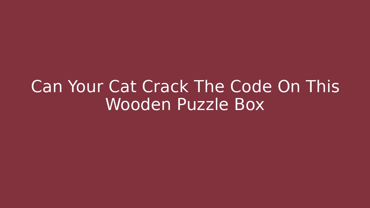 Can Your Cat Crack The Code On This Wooden Puzzle Box