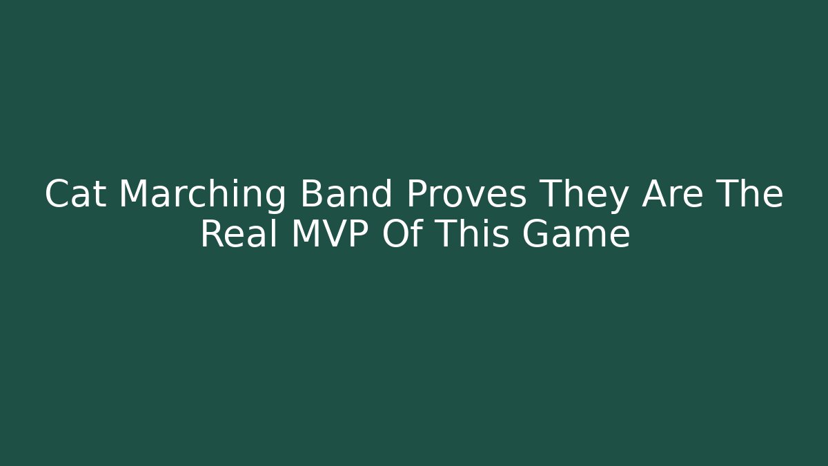 Cat Marching Band Proves They Are The Real MVP Of This Game
