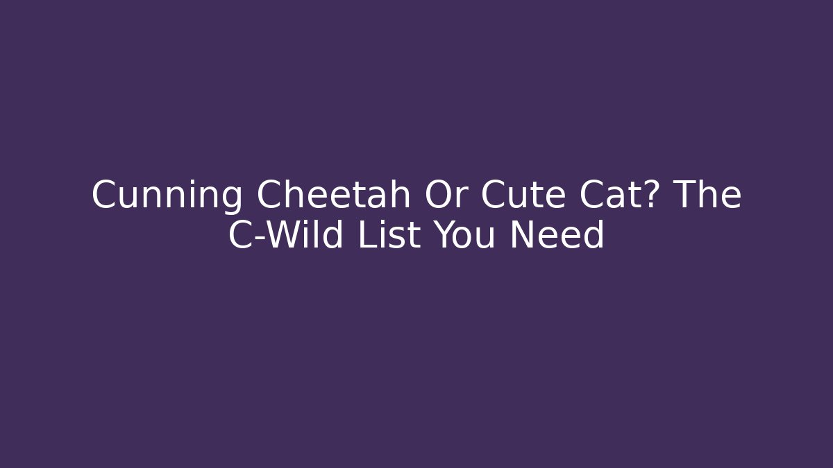 Cunning Cheetah Or Cute Cat? The C-Wild List You Need