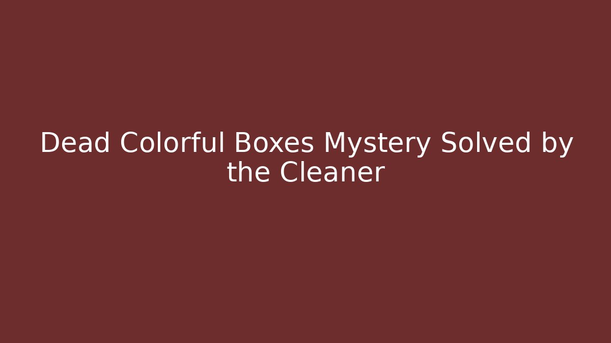 Dead Colorful Boxes Mystery Solved by the Cleaner