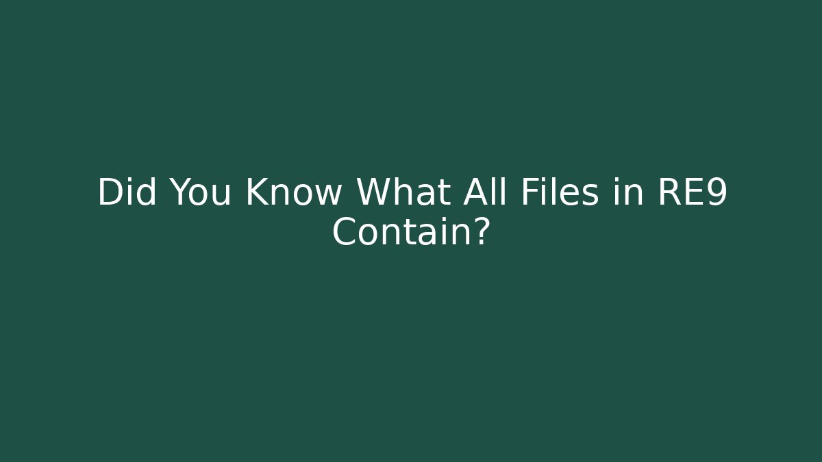 Did You Know What All Files in RE9 Contain?