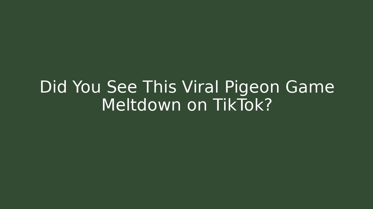 Did You See This Viral Pigeon Game Meltdown on TikTok?