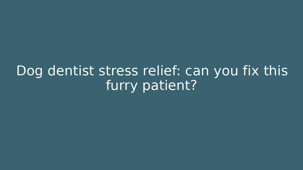 Dog dentist stress relief: can you fix this furry patient?