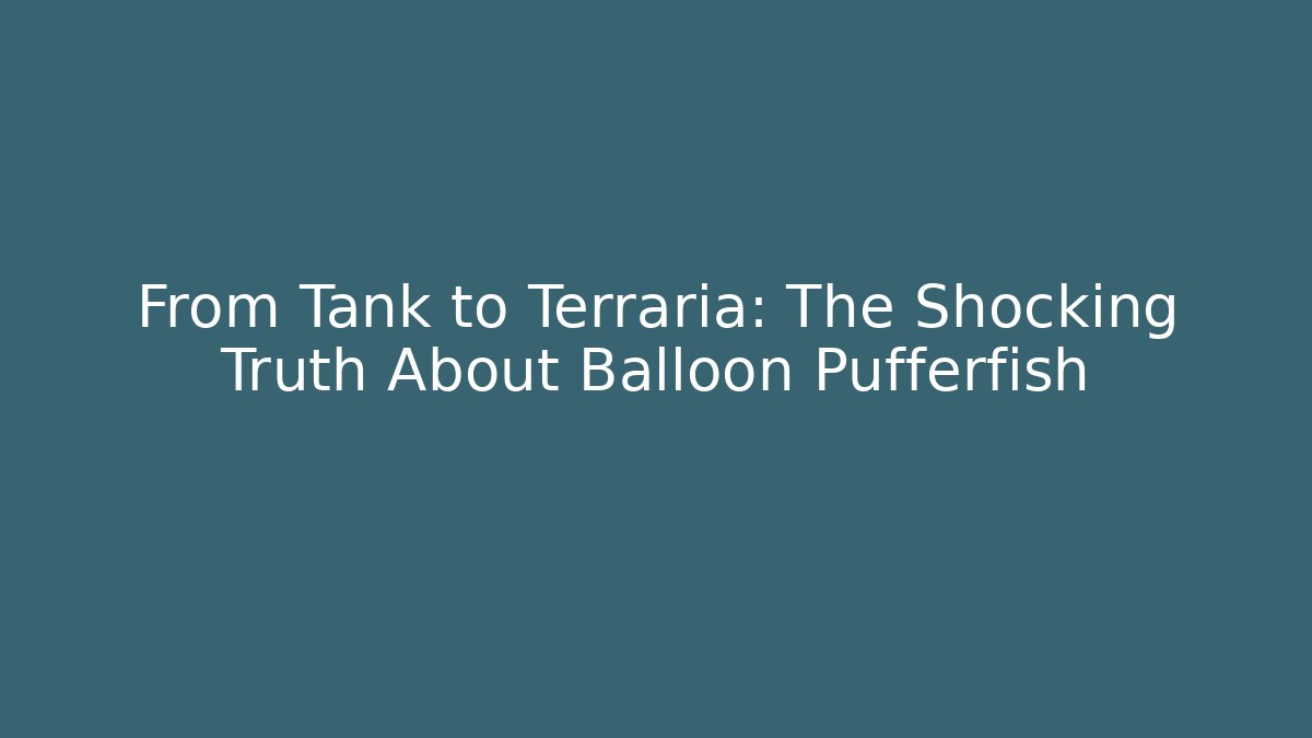 From Tank to Terraria: The Shocking Truth About Balloon Pufferfish