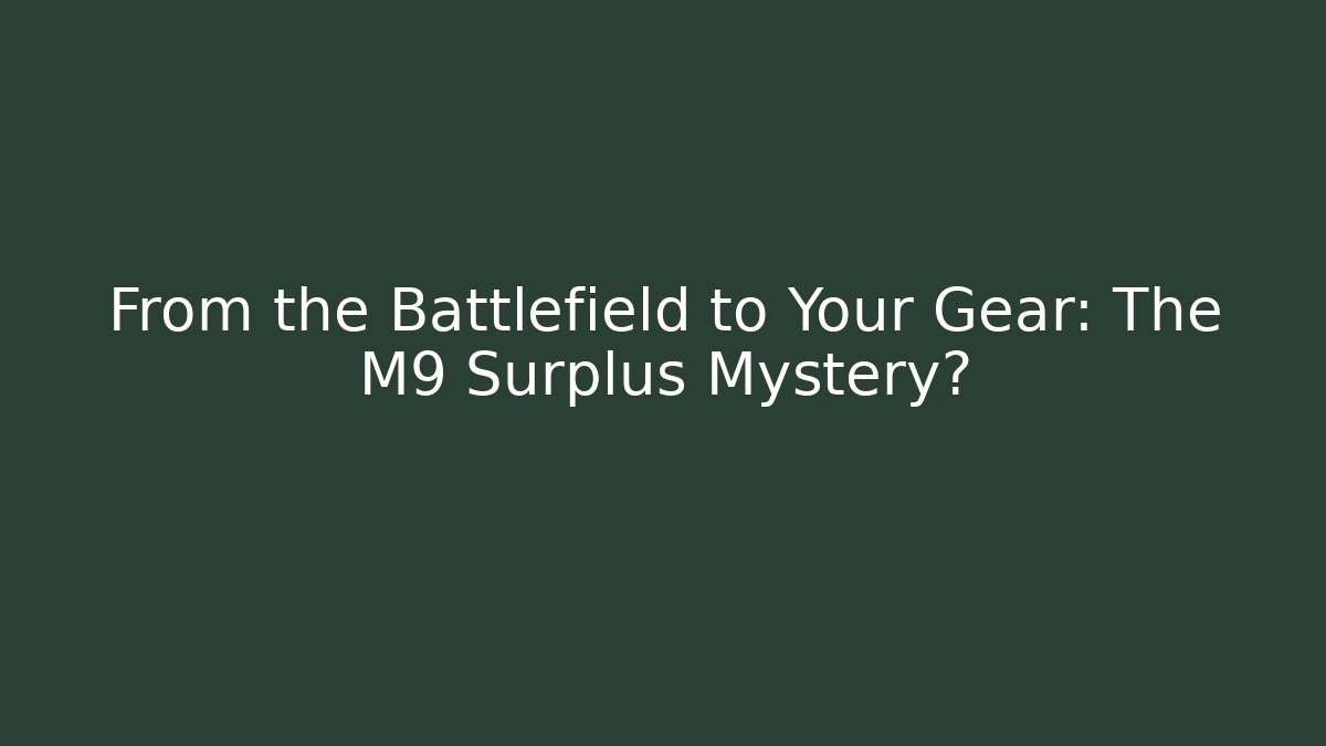 From the Battlefield to Your Gear: The M9 Surplus Mystery?