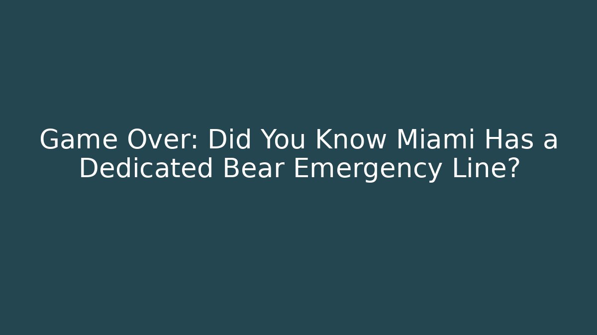 Game Over: Did You Know Miami Has a Dedicated Bear Emergency Line?