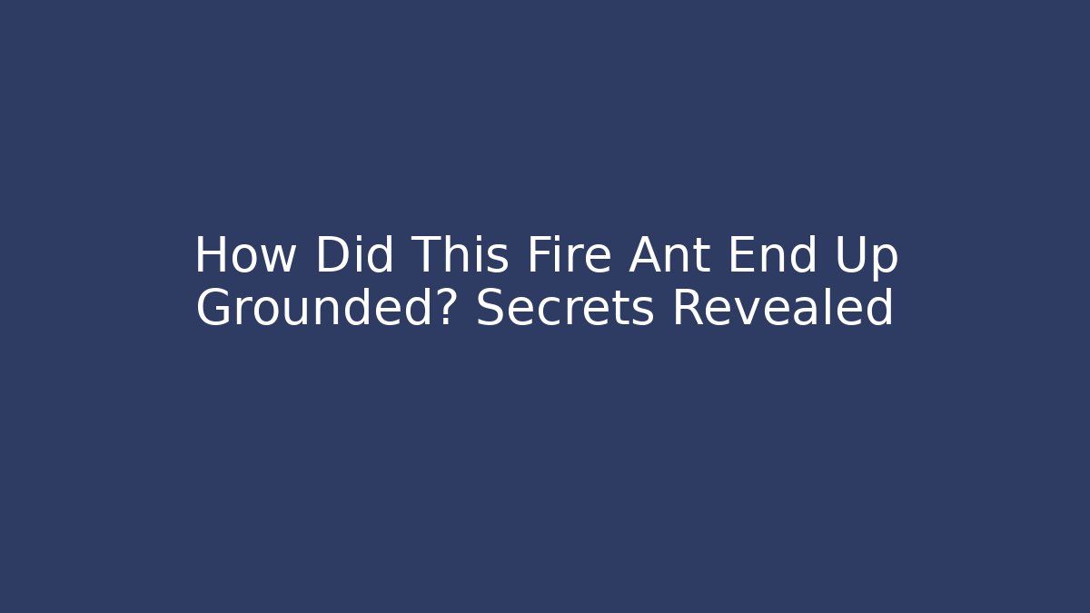 How Did This Fire Ant End Up Grounded? Secrets Revealed