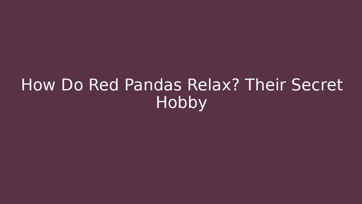 How Do Red Pandas Relax? Their Secret Hobby