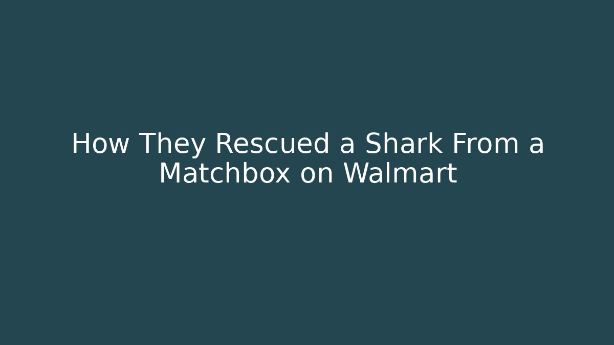 How They Rescued a Shark From a Matchbox on Walmart