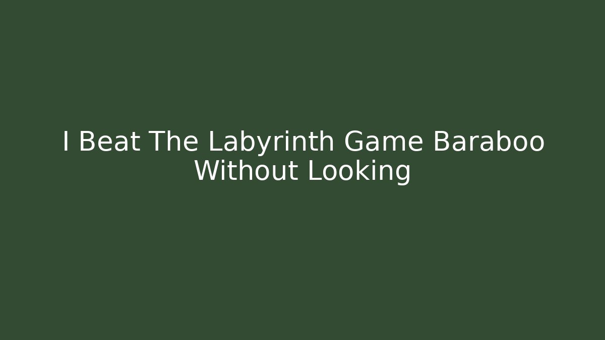 I Beat The Labyrinth Game Baraboo Without Looking