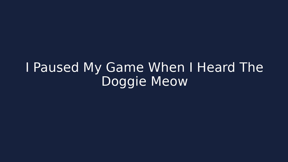 I Paused My Game When I Heard The Doggie Meow