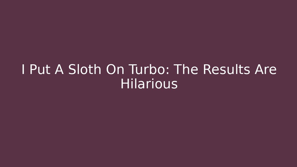 I Put A Sloth On Turbo: The Results Are Hilarious