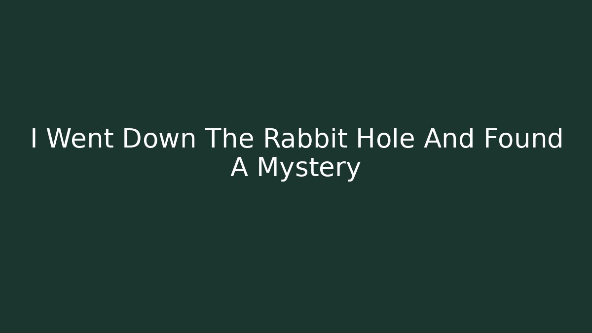 I Went Down The Rabbit Hole And Found A Mystery