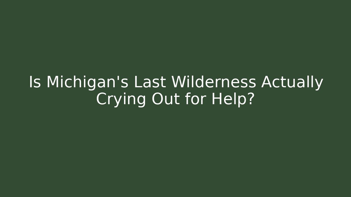 Is Michigan's Last Wilderness Actually Crying Out for Help?