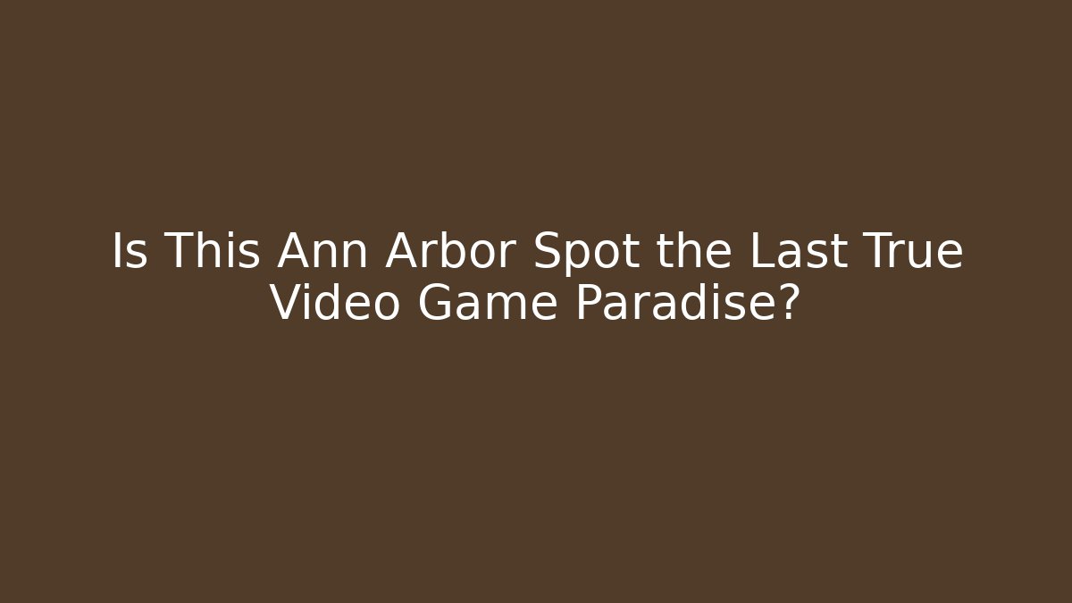 Is This Ann Arbor Spot the Last True Video Game Paradise?