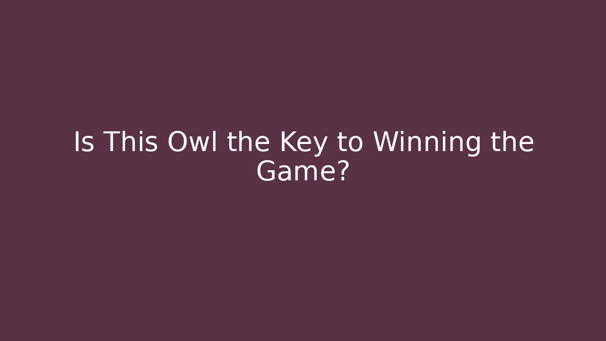 Is This Owl the Key to Winning the Game?