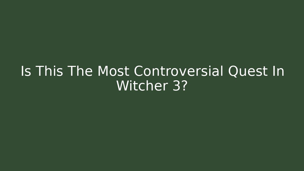Is This The Most Controversial Quest In Witcher 3?