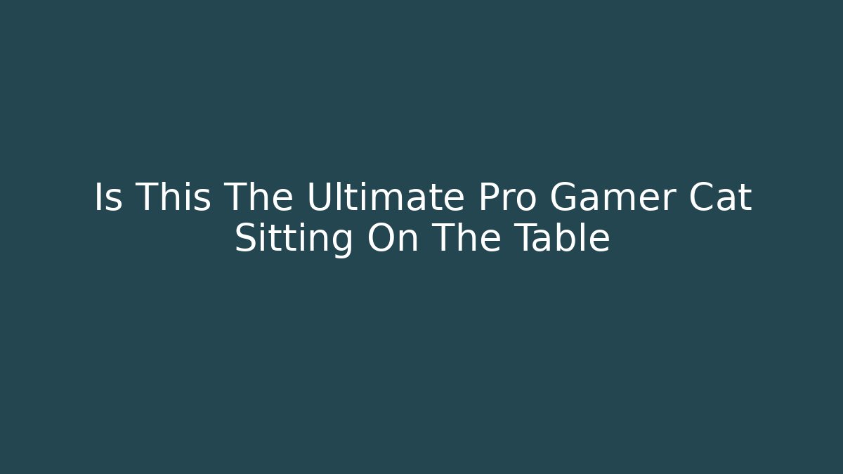 Is This The Ultimate Pro Gamer Cat Sitting On The Table