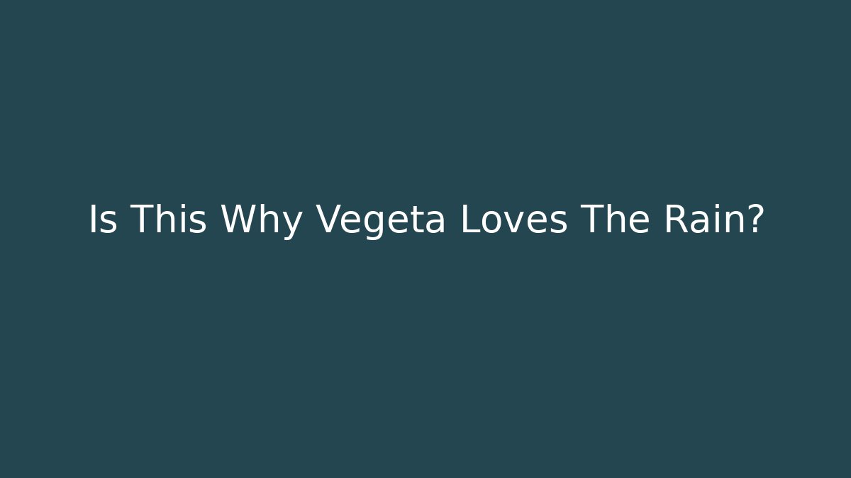 Is This Why Vegeta Loves The Rain?