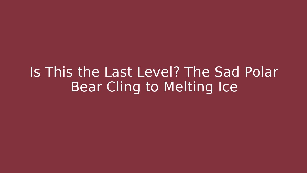 Is This the Last Level? The Sad Polar Bear Cling to Melting Ice