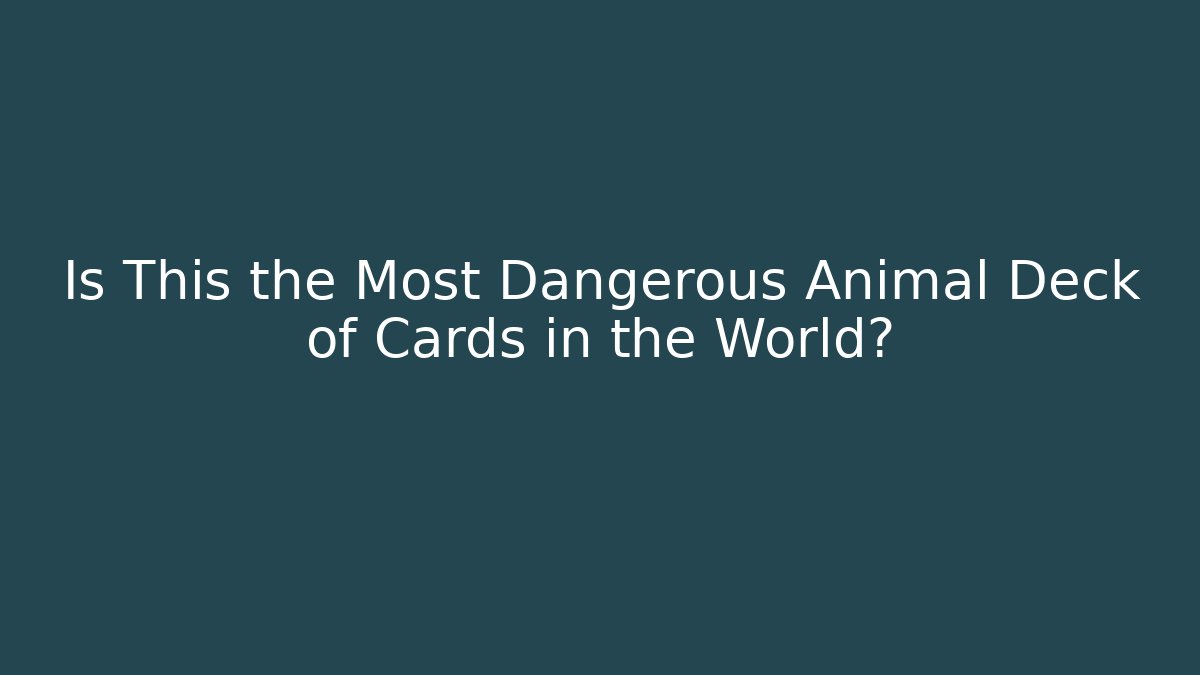 Is This the Most Dangerous Animal Deck of Cards in the World?