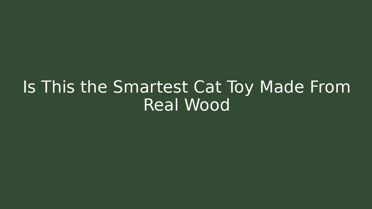 Is This the Smartest Cat Toy Made From Real Wood