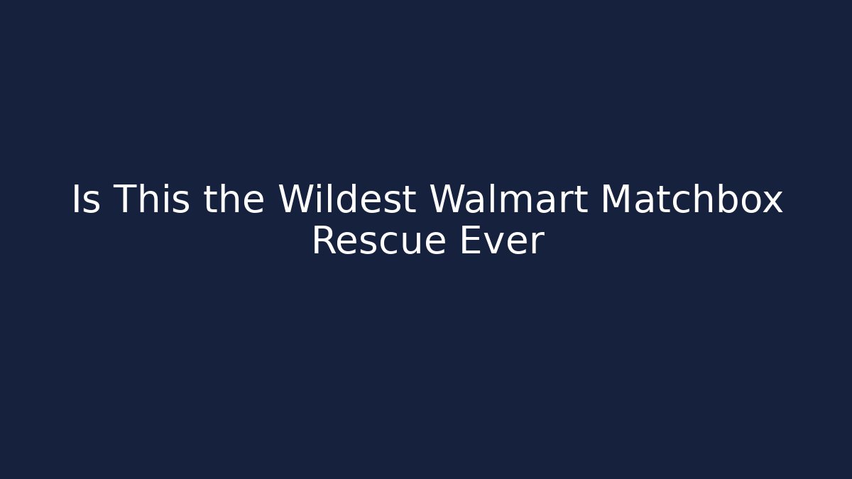Is This the Wildest Walmart Matchbox Rescue Ever
